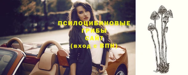 синтетический гашиш Алексеевка