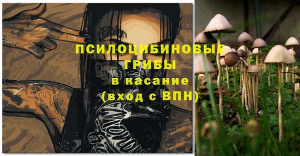синтетический гашиш Алексеевка