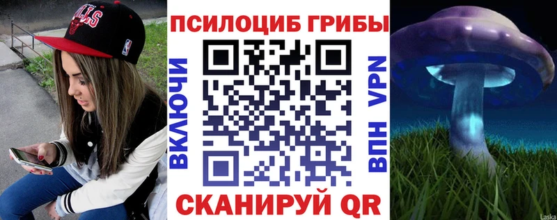 Псилоцибиновые грибы ЛСД  Бабаево 